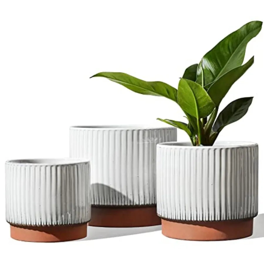 Striped Ceramic Plant Pots With Drainage Holes Set Of 3