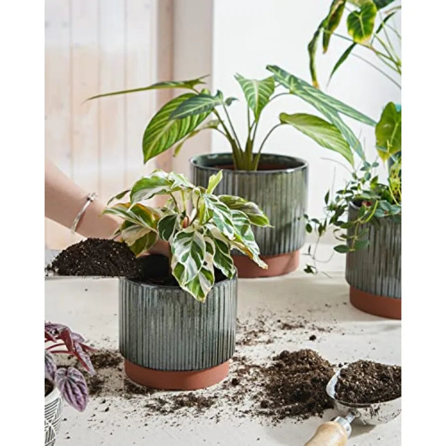 Striped Ceramic Plant Pots With Drainage Holes Set Of 3