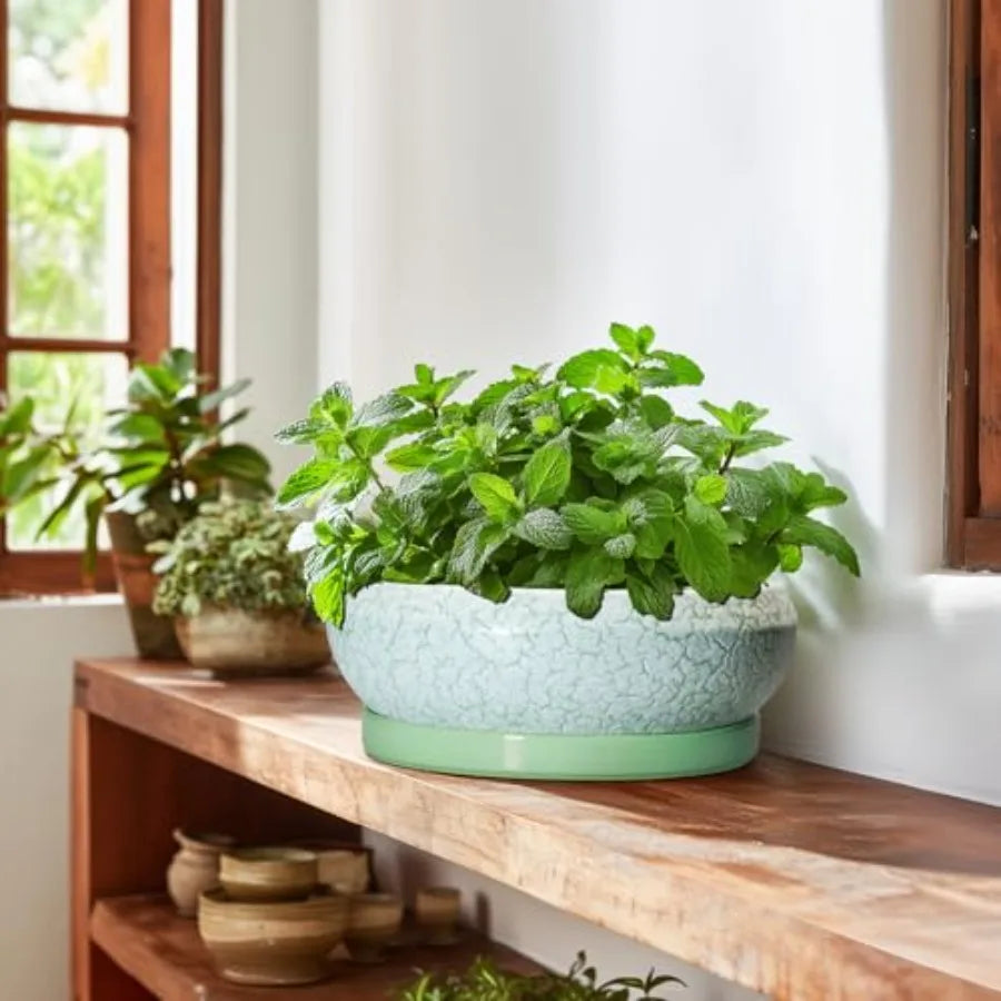 Wooden Bonsai Pots With Drainage Hole And Plant Saucer