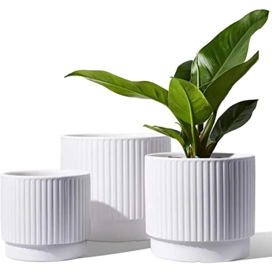 Striped Ceramic Plant Pots With Drainage Holes Set Of 3