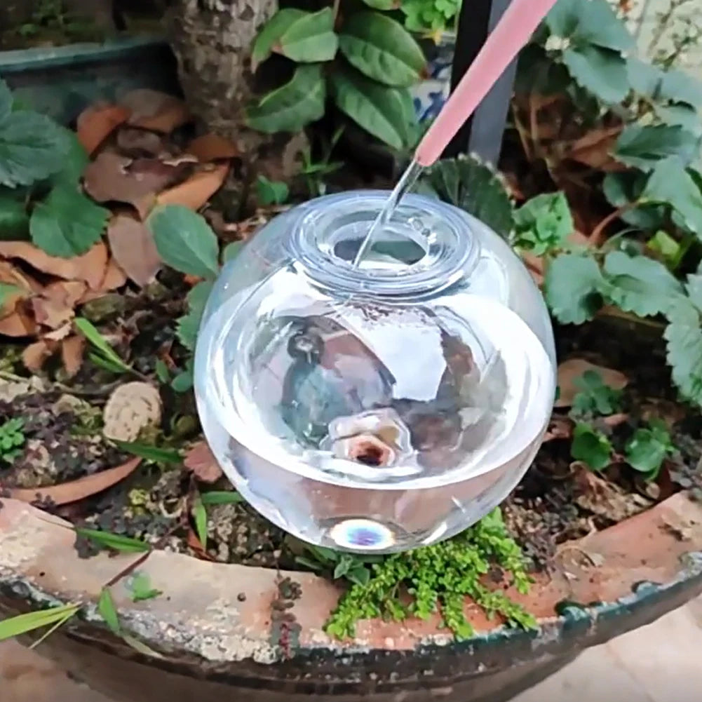 Self Watering Globes Drip Irrigation System For Indoor Outdoor Plants