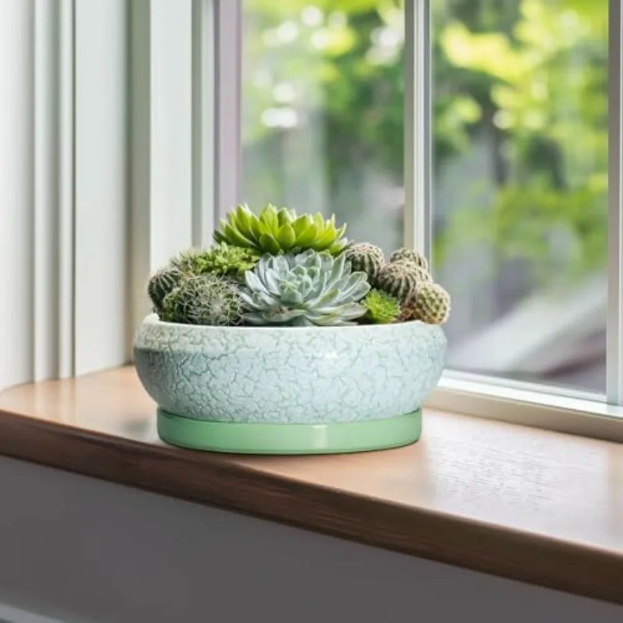Wooden Bonsai Pots With Drainage Hole And Plant Saucer
