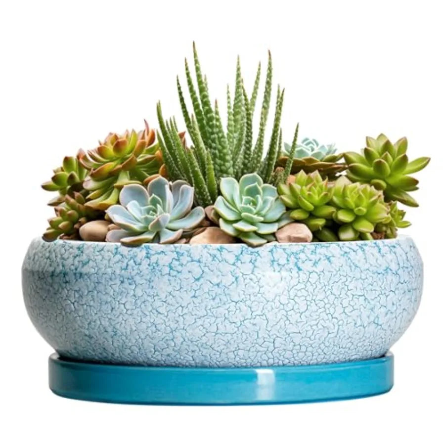 Wooden Bonsai Pots With Drainage Hole And Plant Saucer