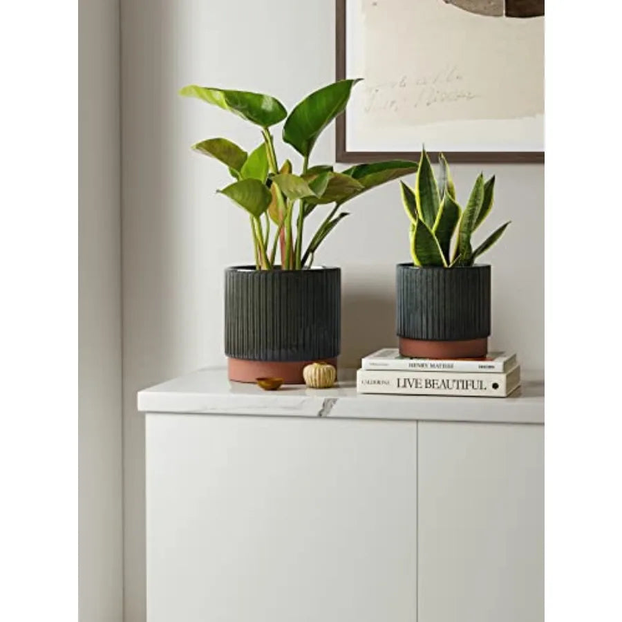Striped Ceramic Plant Pots With Drainage Holes Set Of 3