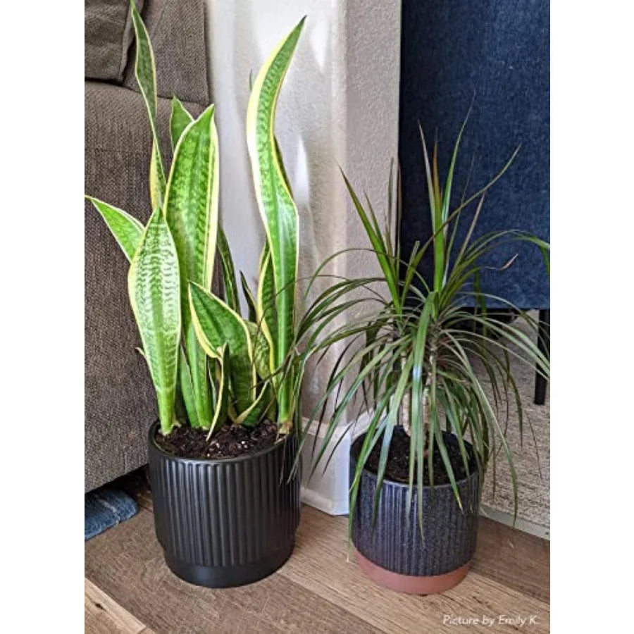 Striped Ceramic Plant Pots With Drainage Holes Set Of 3