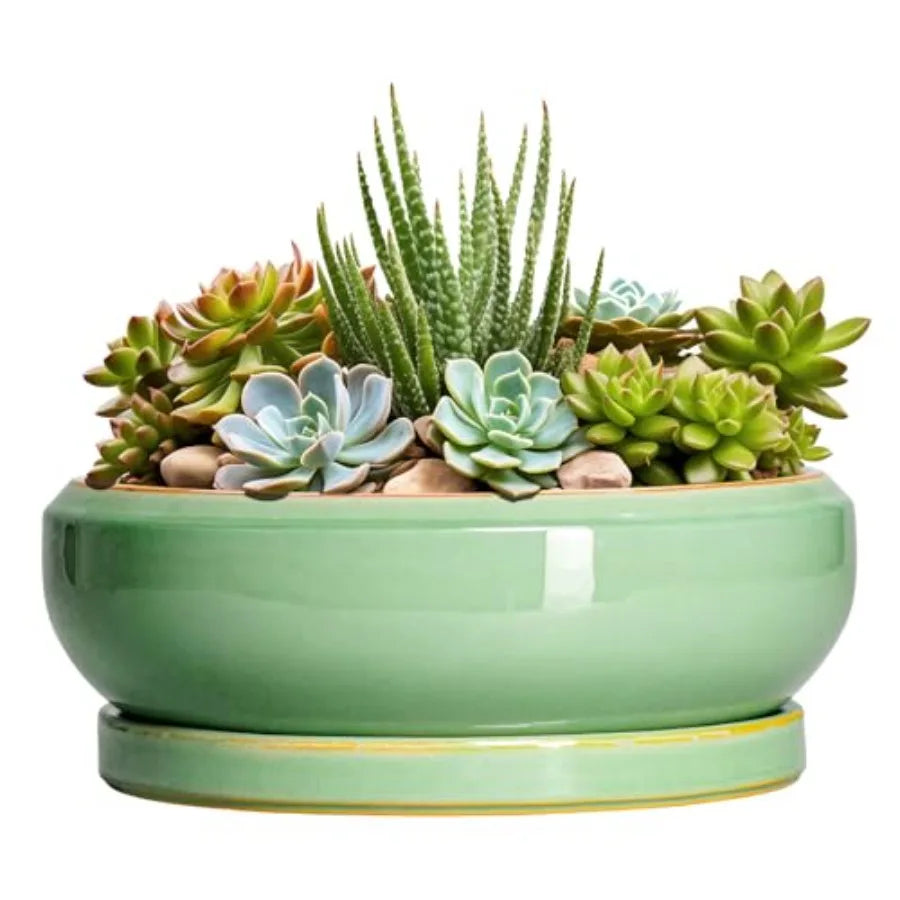 Wooden Bonsai Pots With Drainage Hole And Plant Saucer