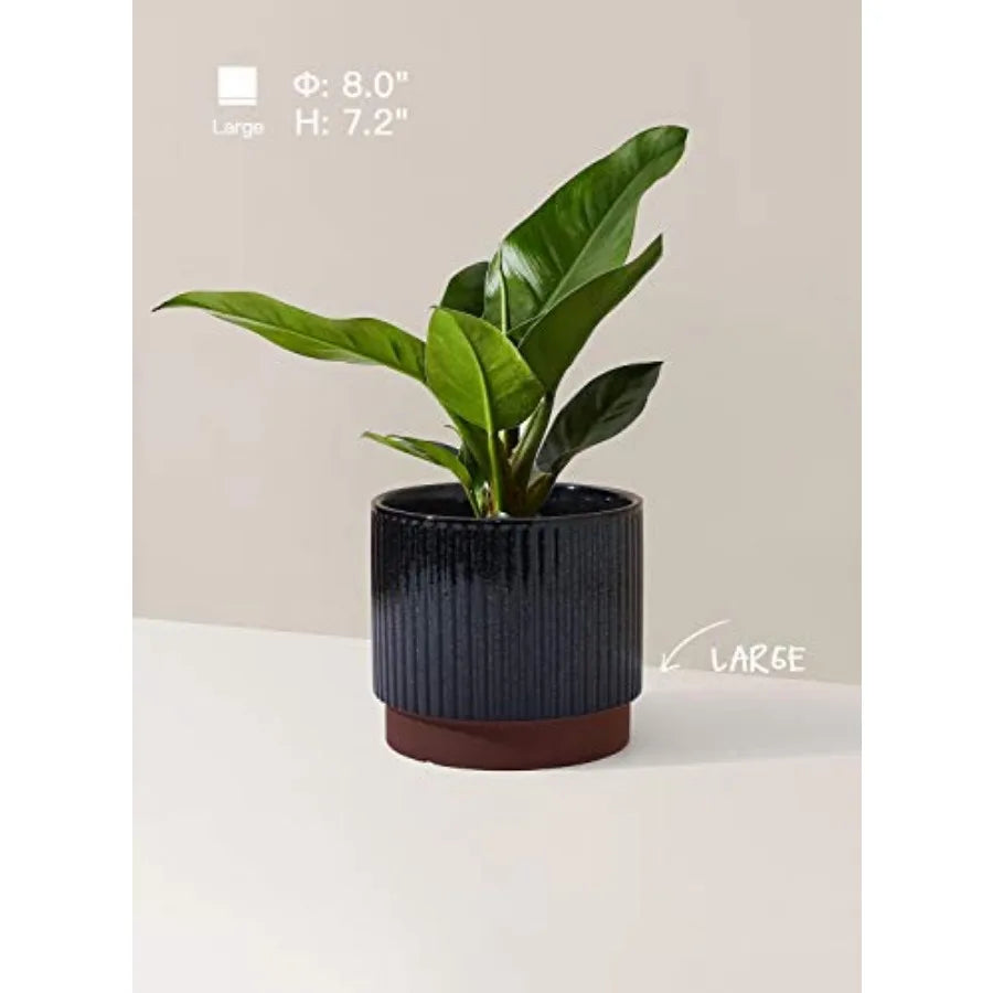 Striped Ceramic Plant Pots With Drainage Holes Set Of 3