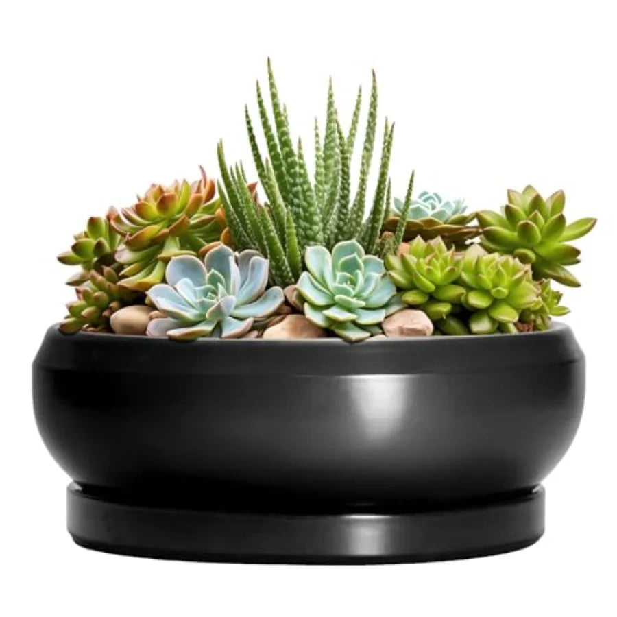 Wooden Bonsai Pots With Drainage Hole And Plant Saucer
