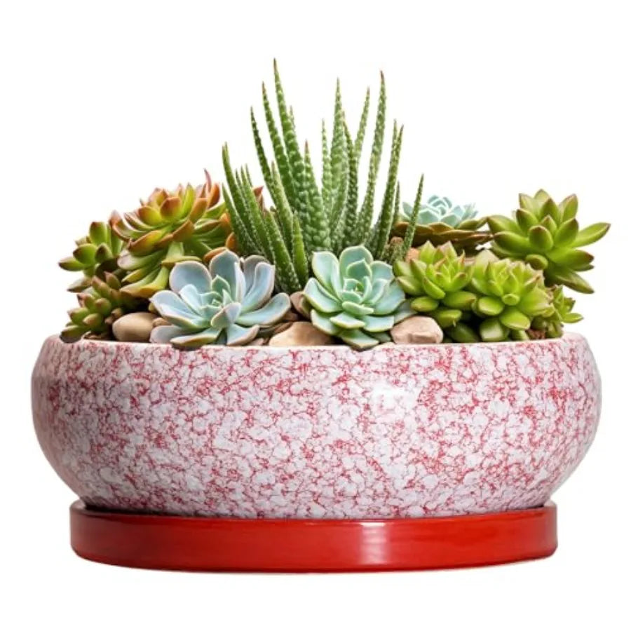 Wooden Bonsai Pots With Drainage Hole And Plant Saucer