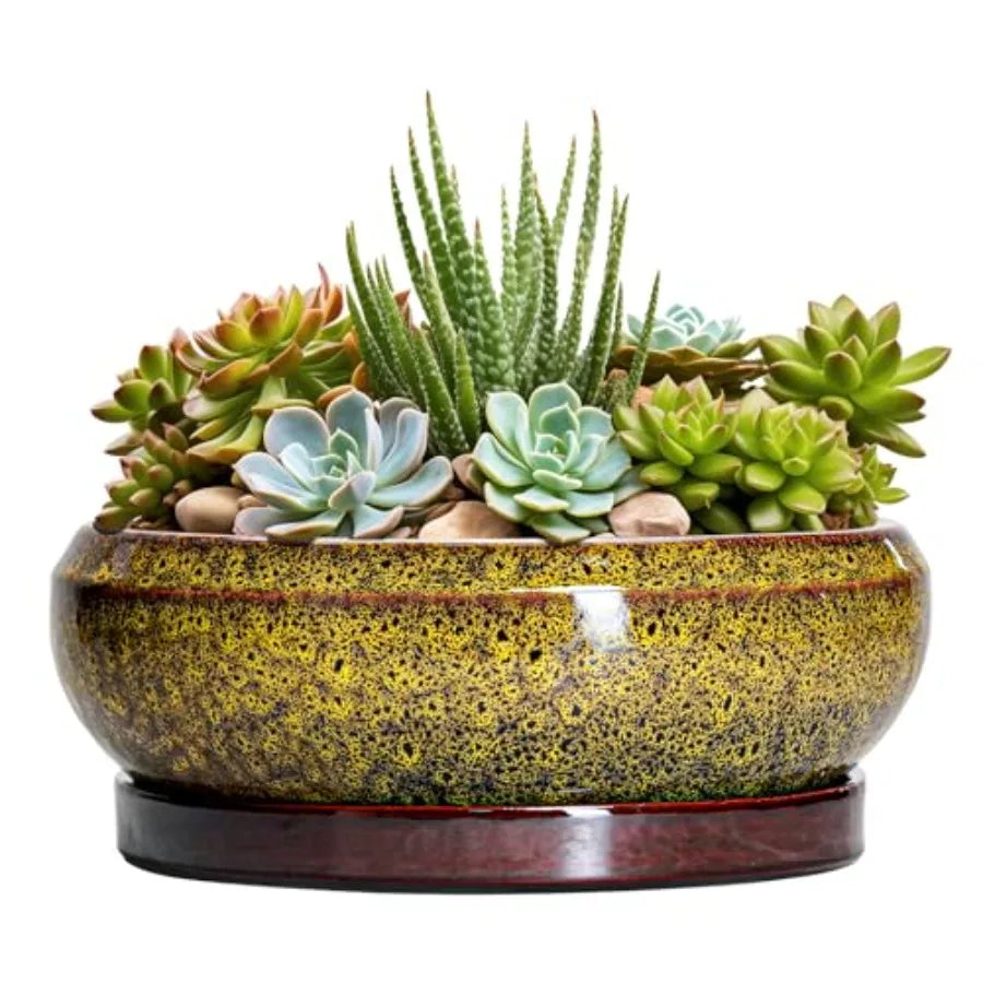 Wooden Bonsai Pots With Drainage Hole And Plant Saucer